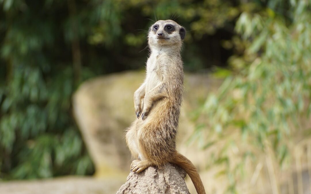Bien connaître les symptômes d&rsquo;alerte